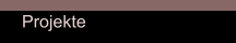 Projekte